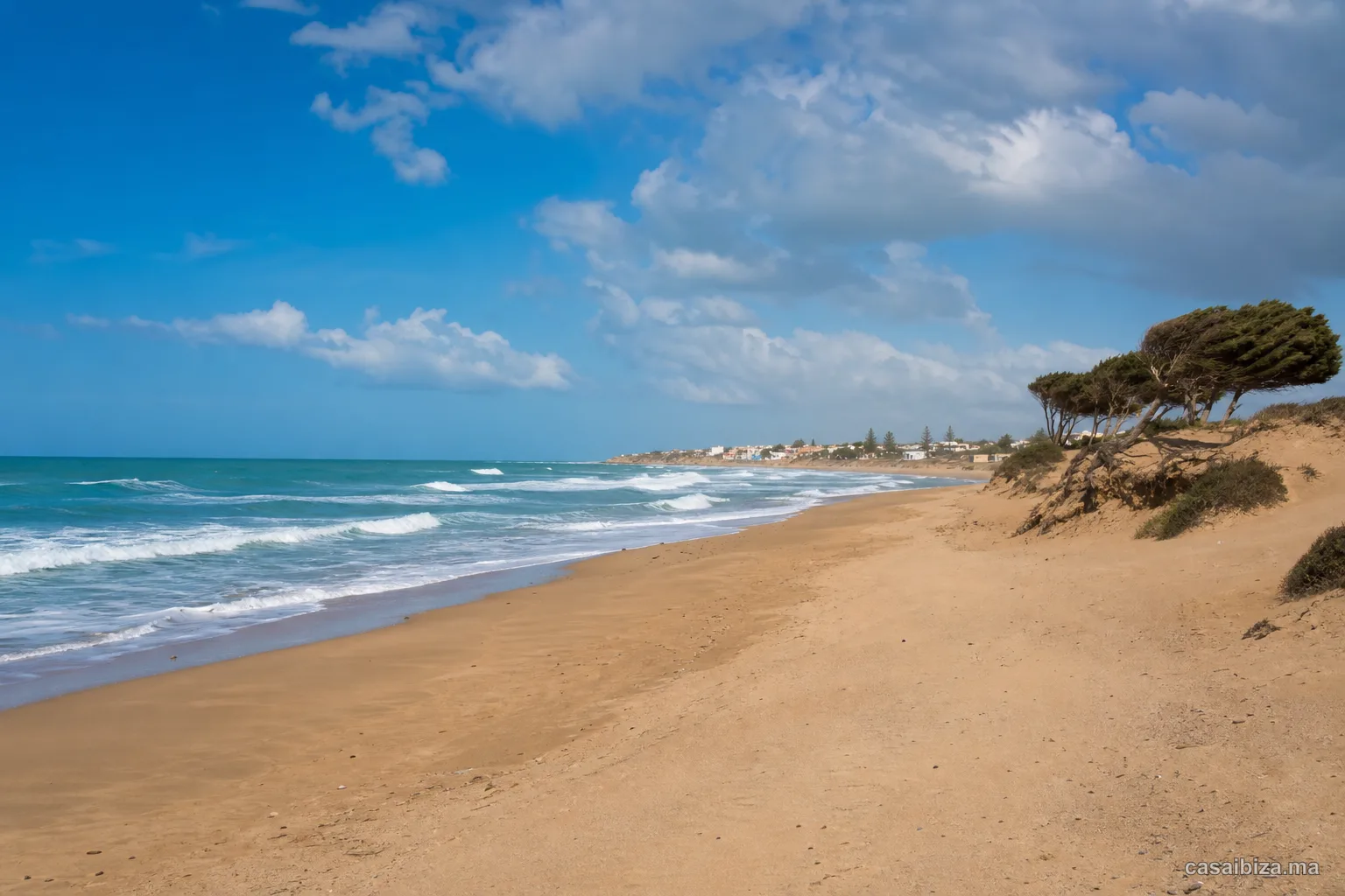 Plages et littoral autour d’Essaouira — Sidi Kaouki et environs