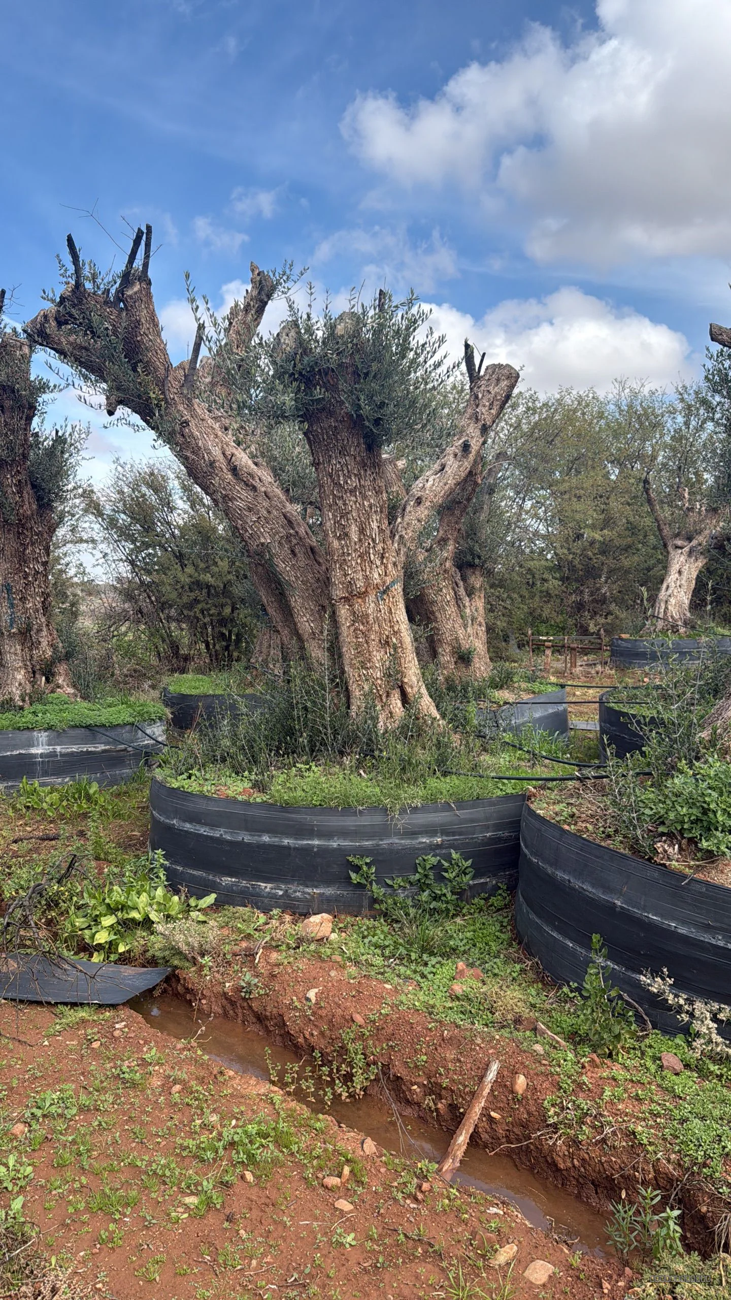 Villa architecte — photo chantier 13